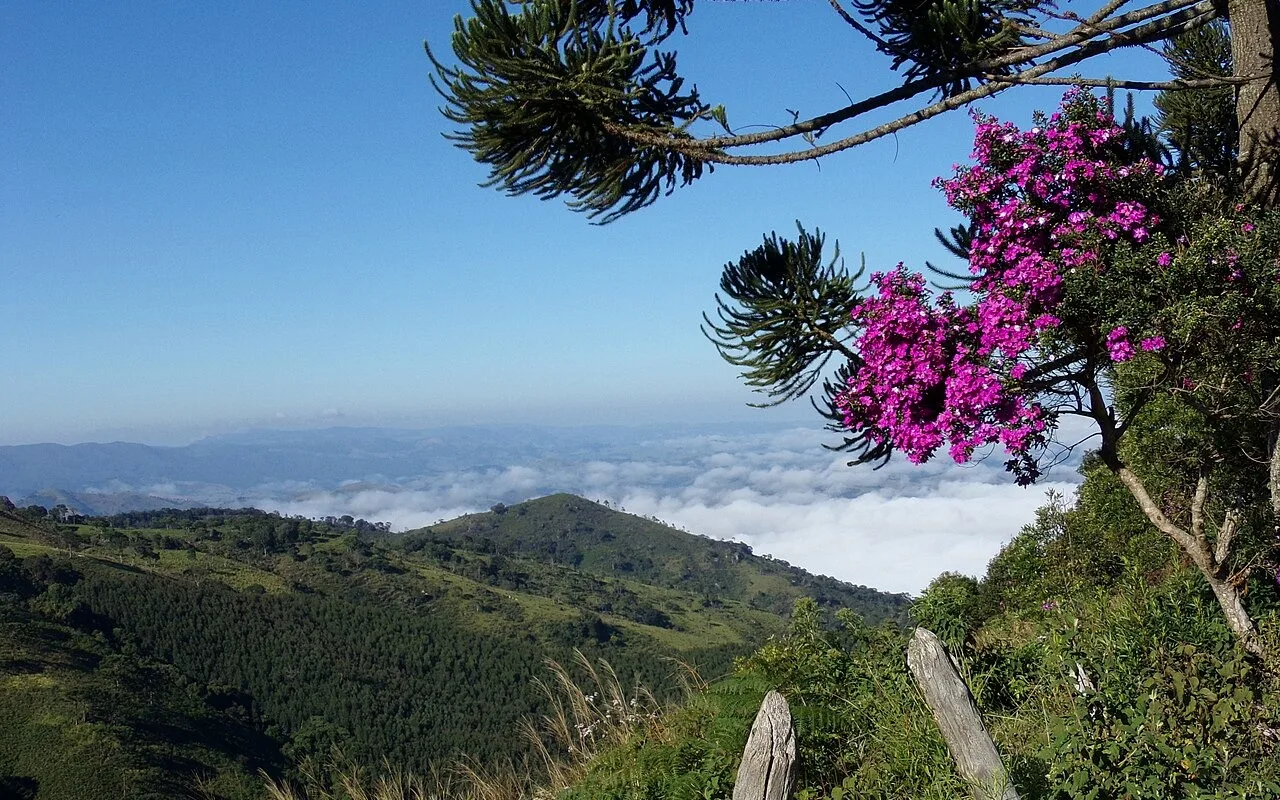 Paisagem elevada da Serra da Bocaina